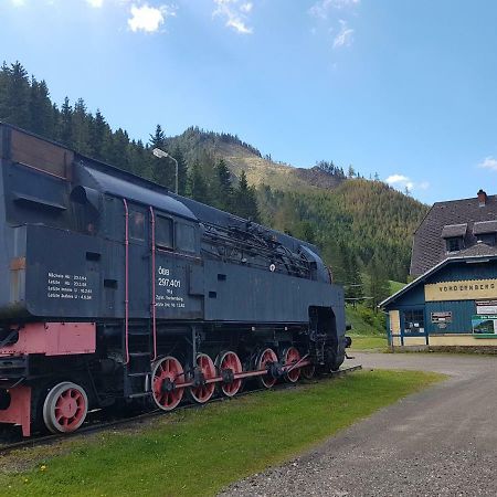 Vermietung Ronner Vordernberg 外观 照片