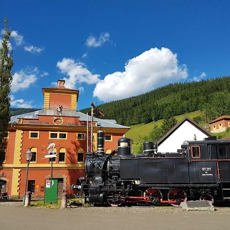 Vermietung Ronner Vordernberg 外观 照片