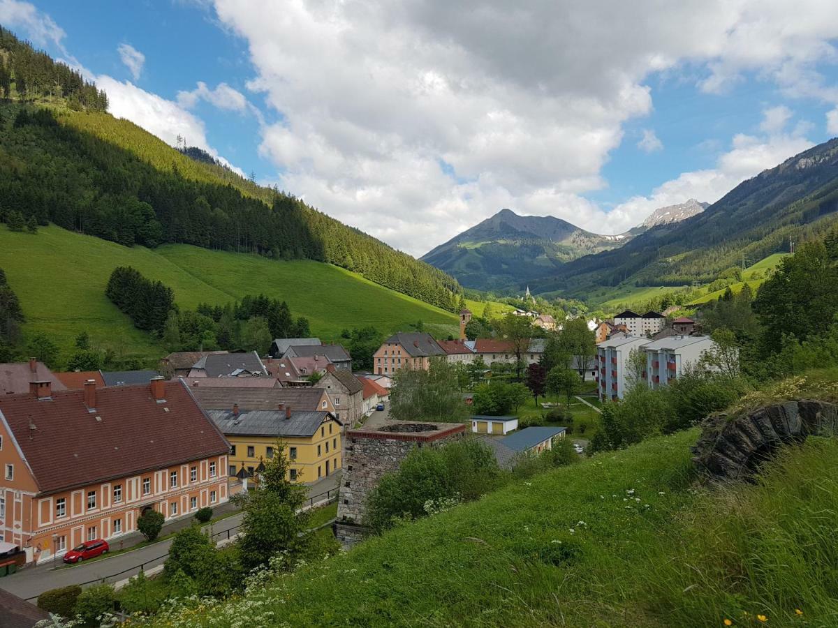 Vermietung Ronner Vordernberg 外观 照片