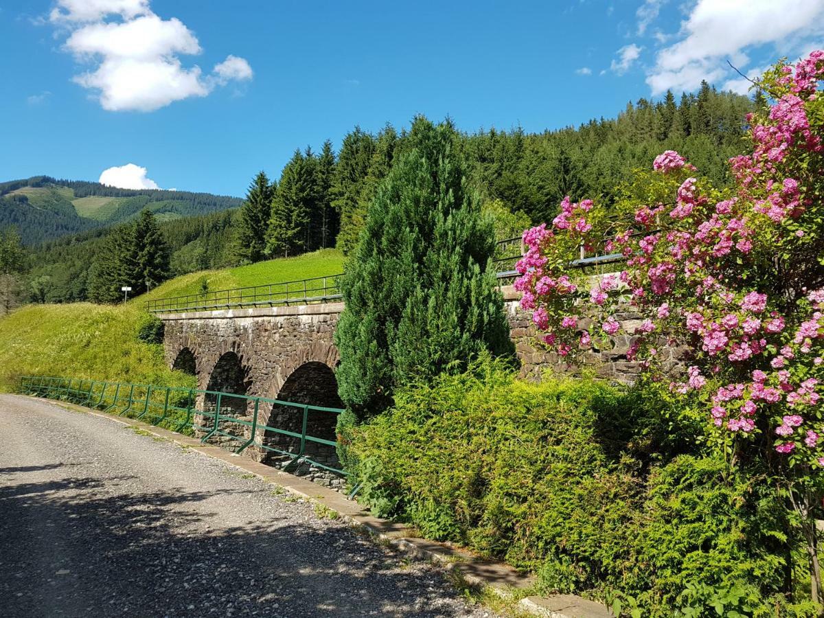Vermietung Ronner Vordernberg 外观 照片
