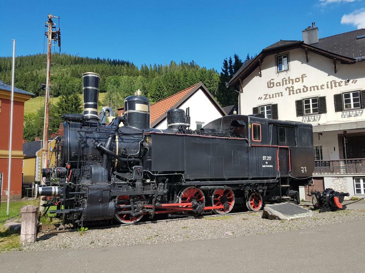 Vermietung Ronner Vordernberg 外观 照片