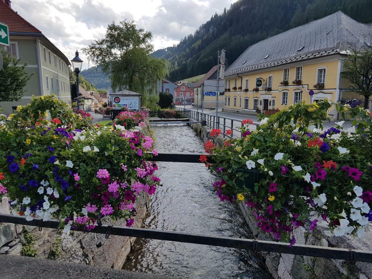 Vermietung Ronner Vordernberg 外观 照片